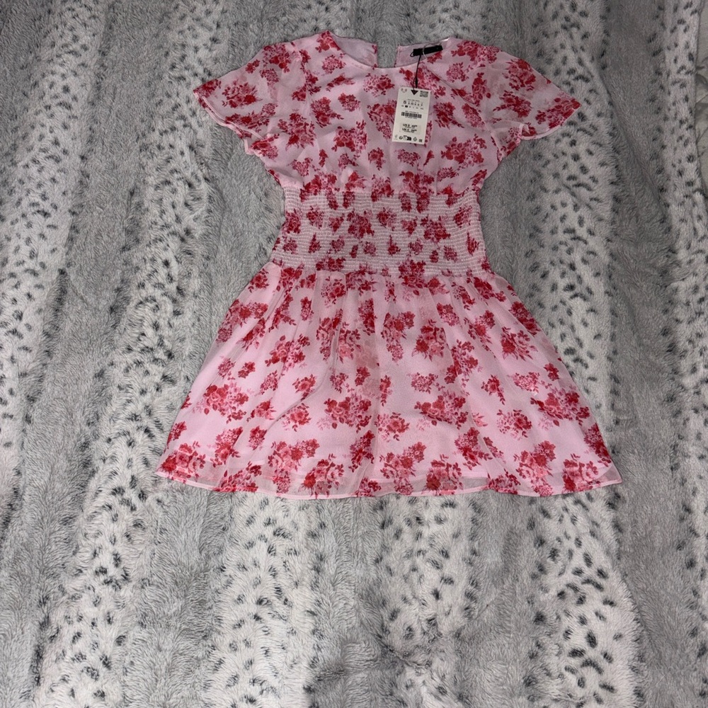 Zara Floral Pink and Red Dress. Size small. New with tags. Sheer and stretchy.